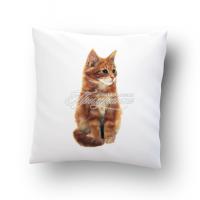 Подушка сувенирная