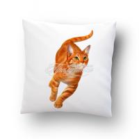 Подушка сувенирная