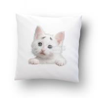 Подушка сувенирная