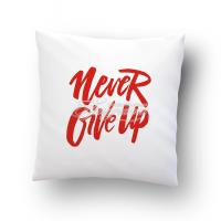 Подушка сувенирная