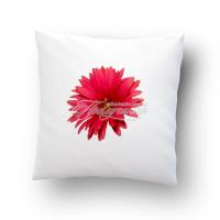 Подушка сувенирная