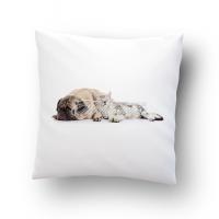 Подушка сувенирная