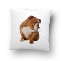 Подушка сувенирная