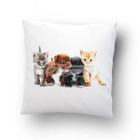 Подушка сувенирная